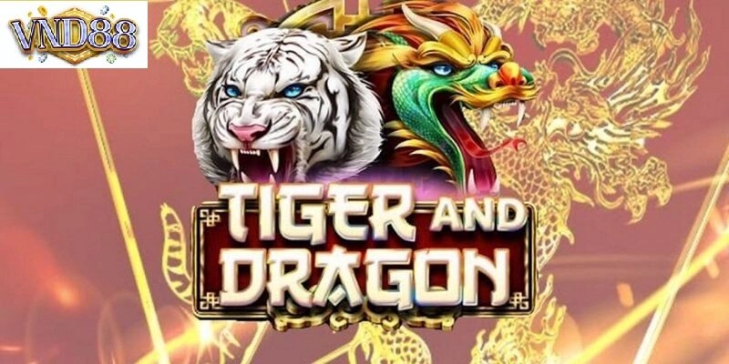 Những Lưu Ý Quan Trọng Khi Sử Dụng Mẹo Chơi Rồng Hổ