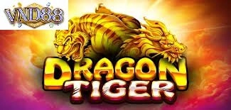 Có nên sử dụng mẹo chơi rồng hổ không
