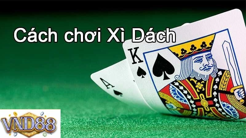 Một số thuật ngữ cần nắm trong game xì dách